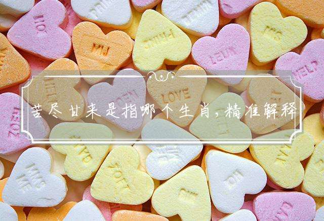 苦尽甘来是指哪个生肖,精准解释落实