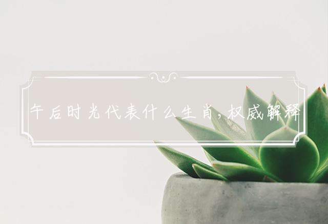 午后时光代表什么生肖,权威解释落实
