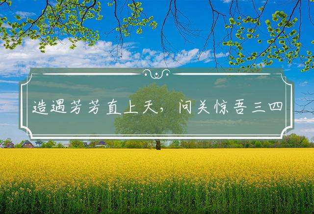 造遇芳芳直上天，问关惊吾三四声是什么生肖，答案解答详细落实