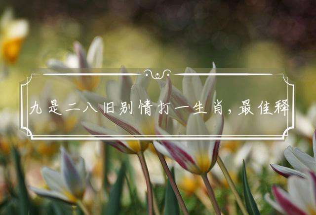 九是二八旧别情打一生肖,最佳释义成语解释落实